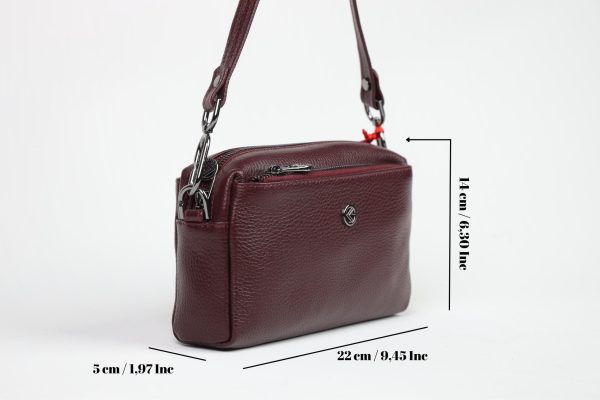 Burgundy Leather Handbag and Crossbody Bag - Multi Compartment - With Shoulder Strap